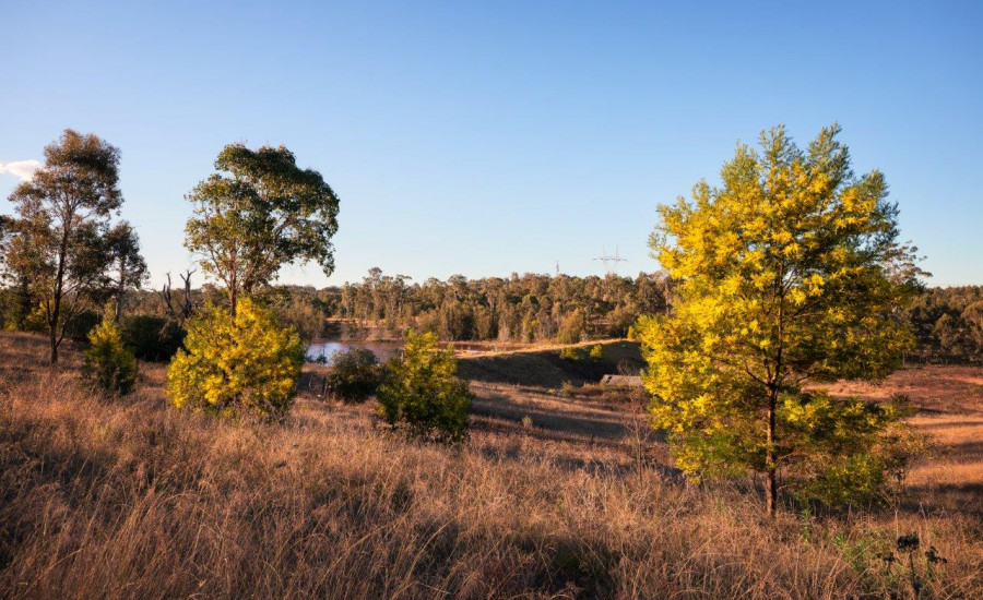 Western Sydney Parklands Future Seven Ridges Walk CREDIT Daniel Tran 6